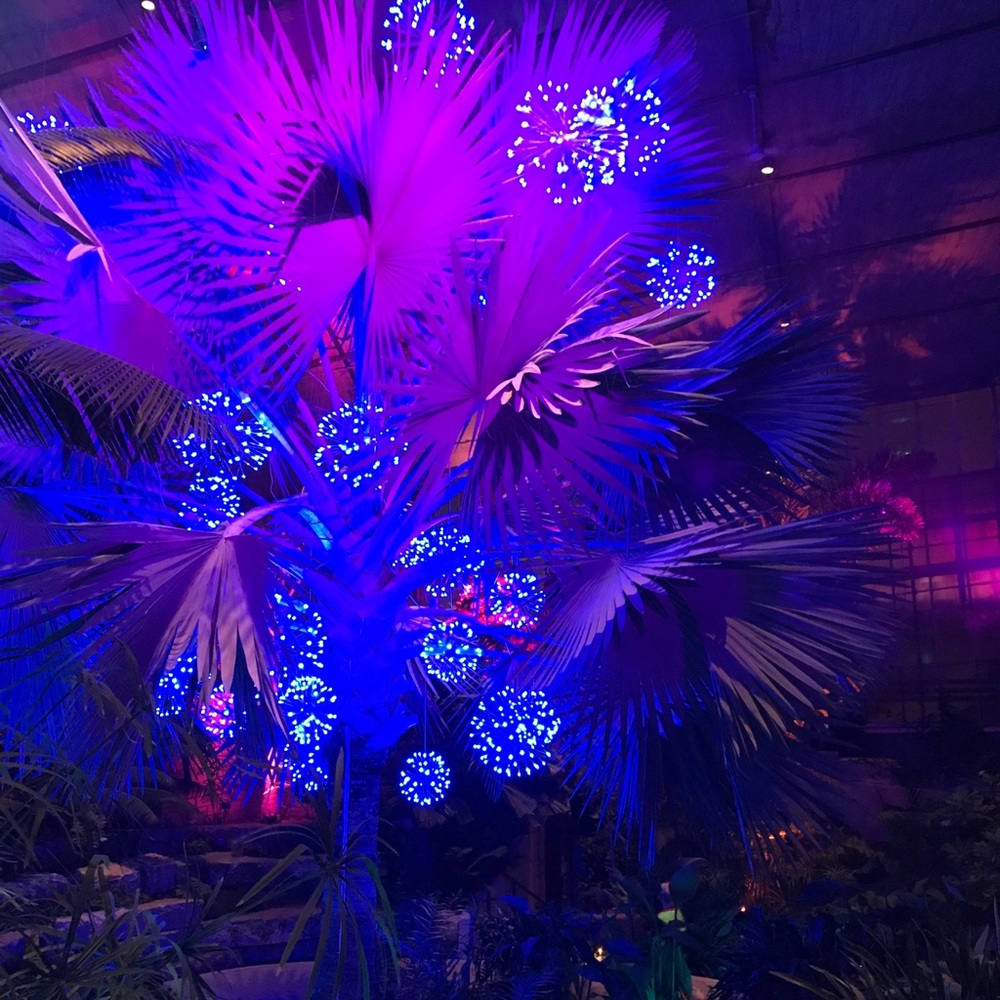 Meet your Posher, Judy